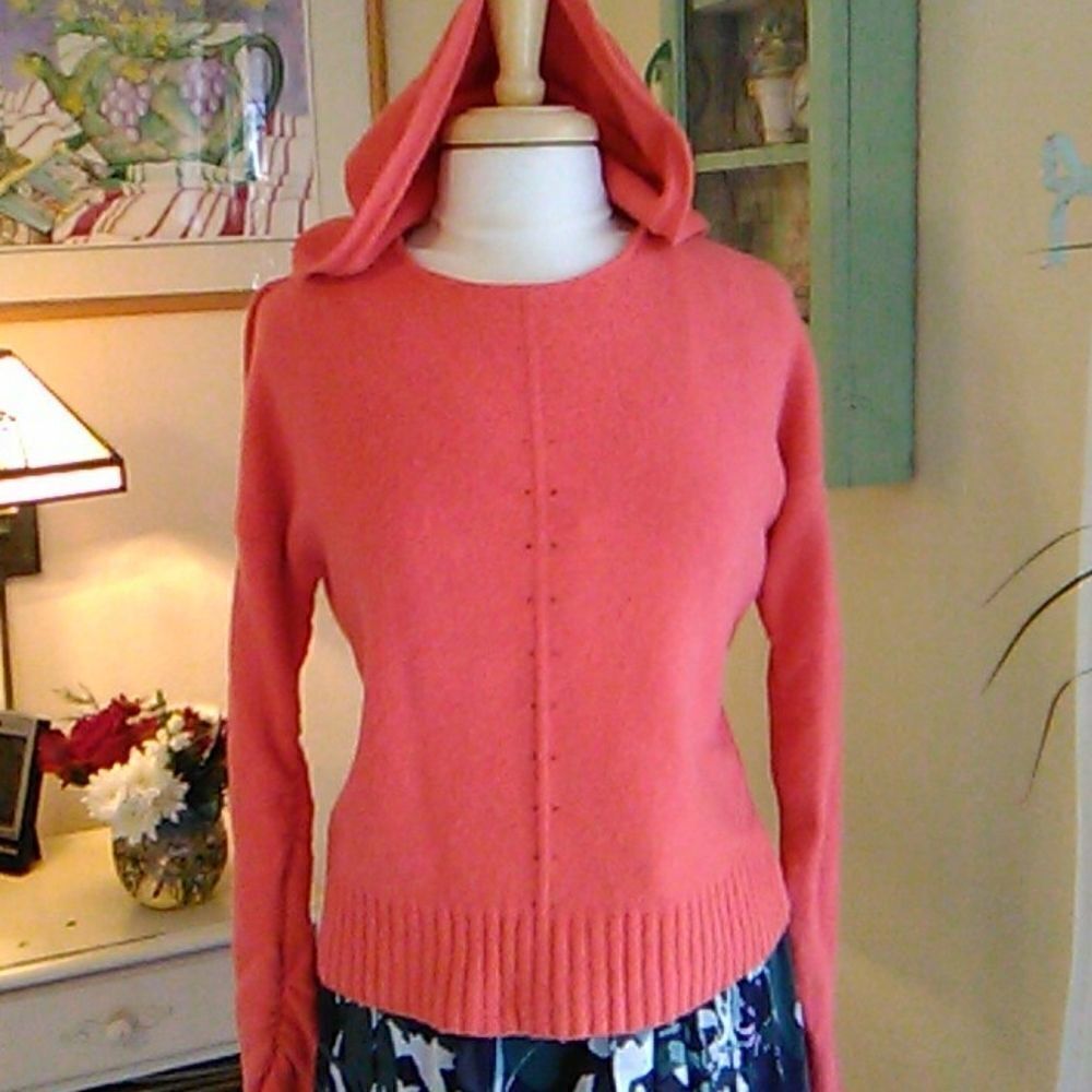 Moth by Anthropologie Hooded Sweater